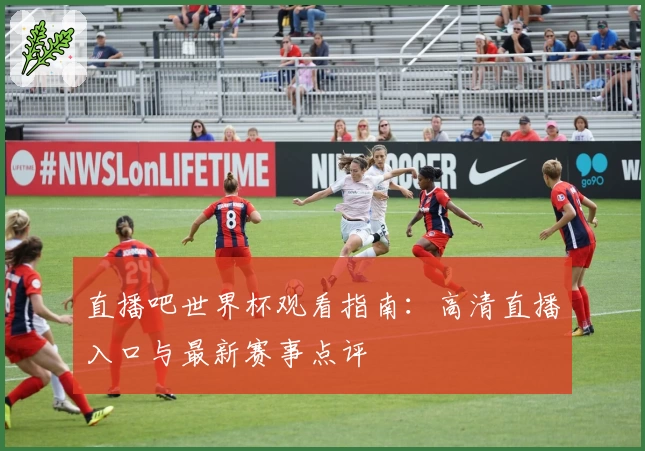 直播吧世界杯观看指南：高清直播入口与最新赛事点评