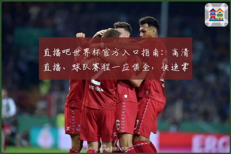 直播吧世界杯官方入口指南：高清直播、球队赛程一应俱全，快速掌握观赛新体验